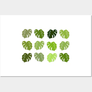 Monstera Leaves in greens Posters and Art